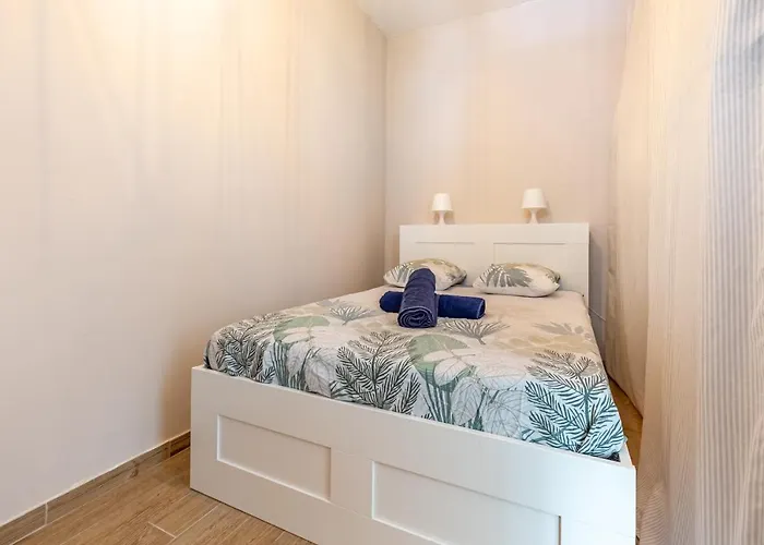Apartamento En Hypercentre Toulouse